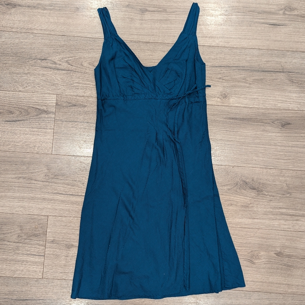 Patagonia blue dress